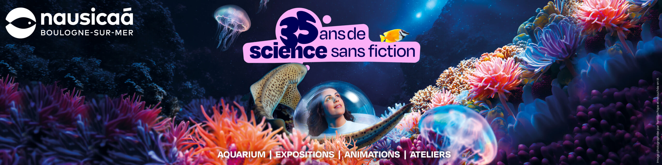 Nausicaa bannière